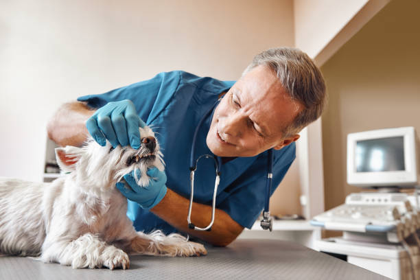 Best Emergency Dental Extractions in Taylor, AL