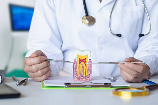 Best Emergency Root Canal Treatment in Taylor, AL
